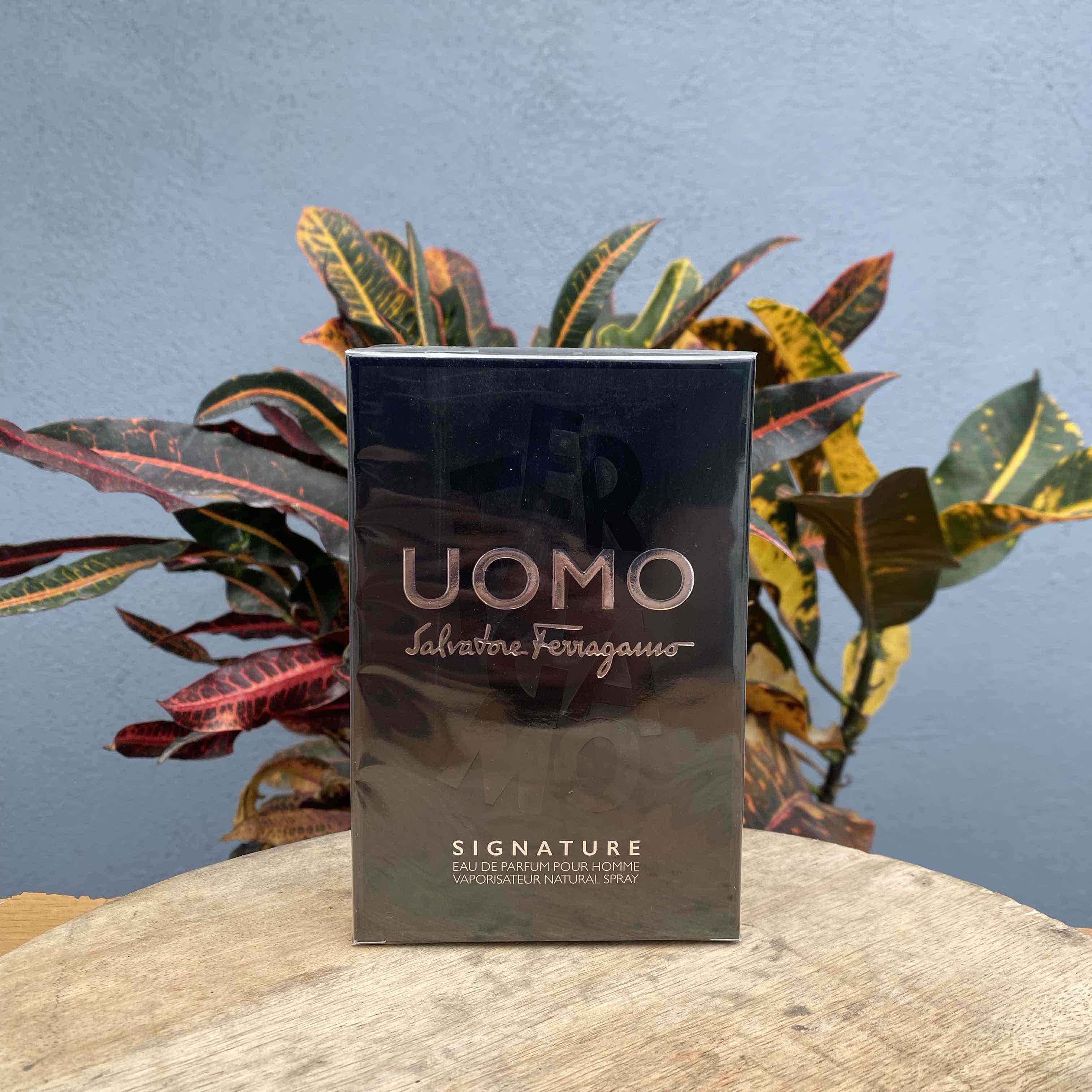 FERRAGAMO UOMO SIGNATURE 100 ML EDP