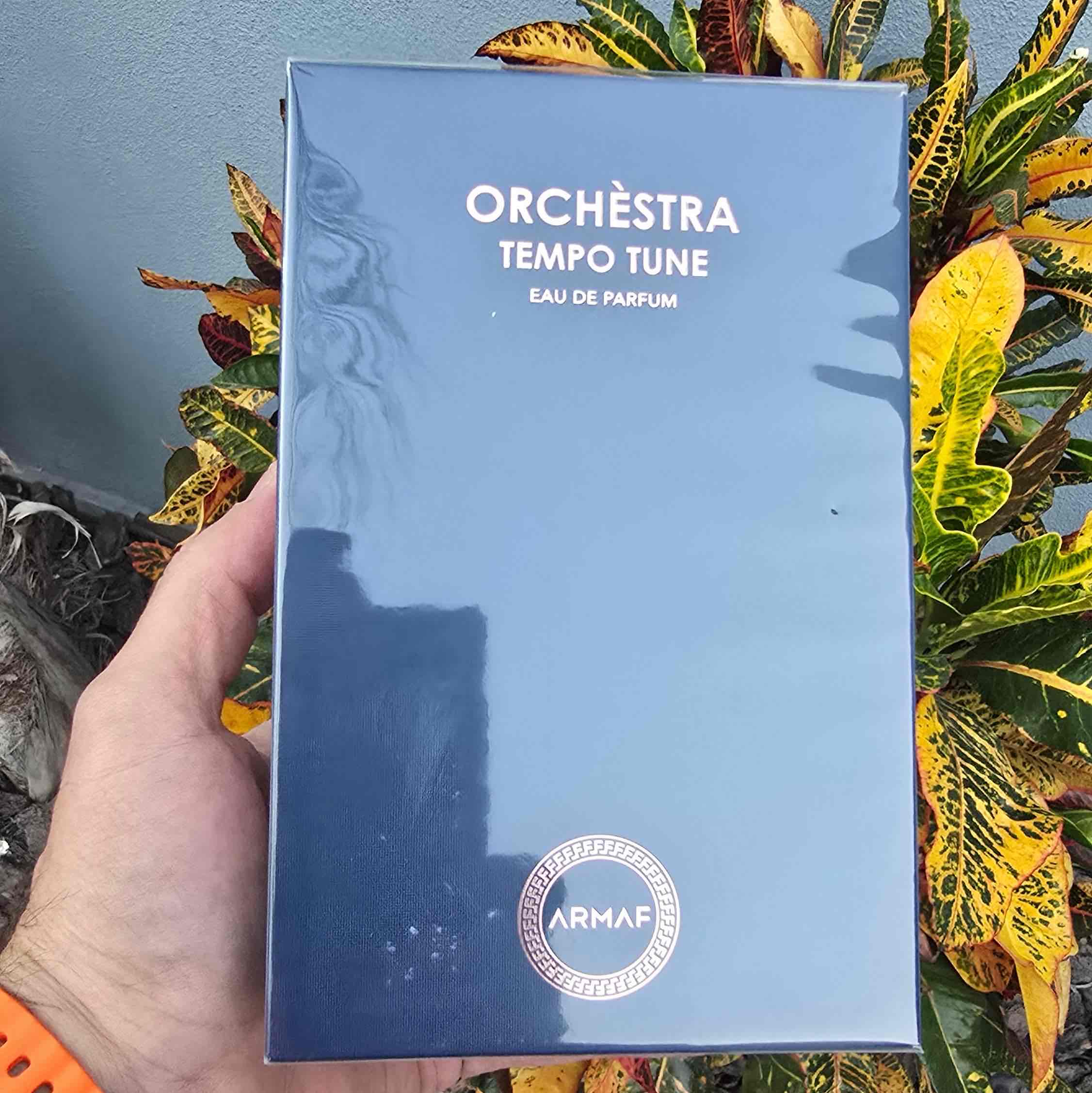 ARMAF ORCHESTRA TEMPO TUNE