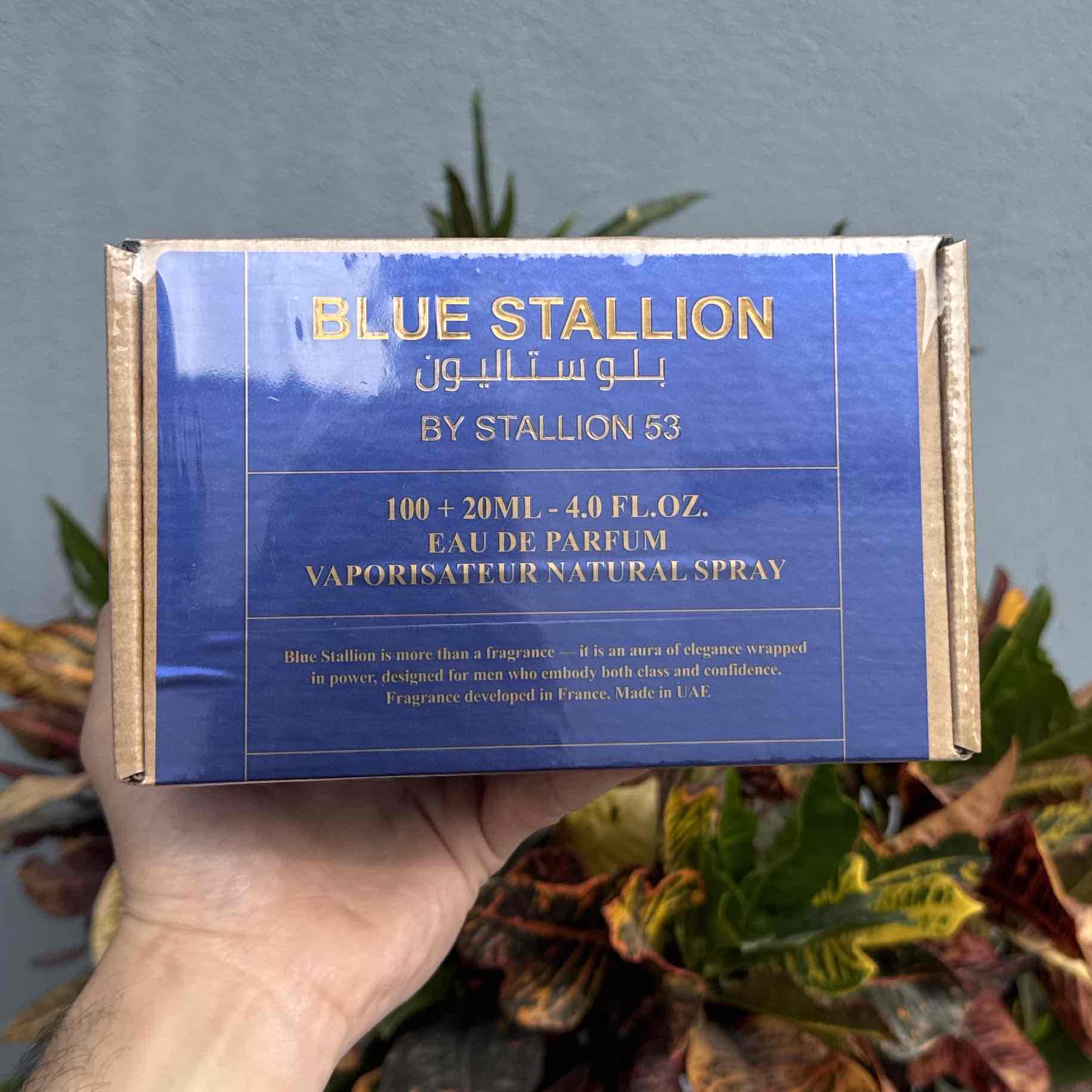 EMPERE BLUE STALLION 100 ML EDP