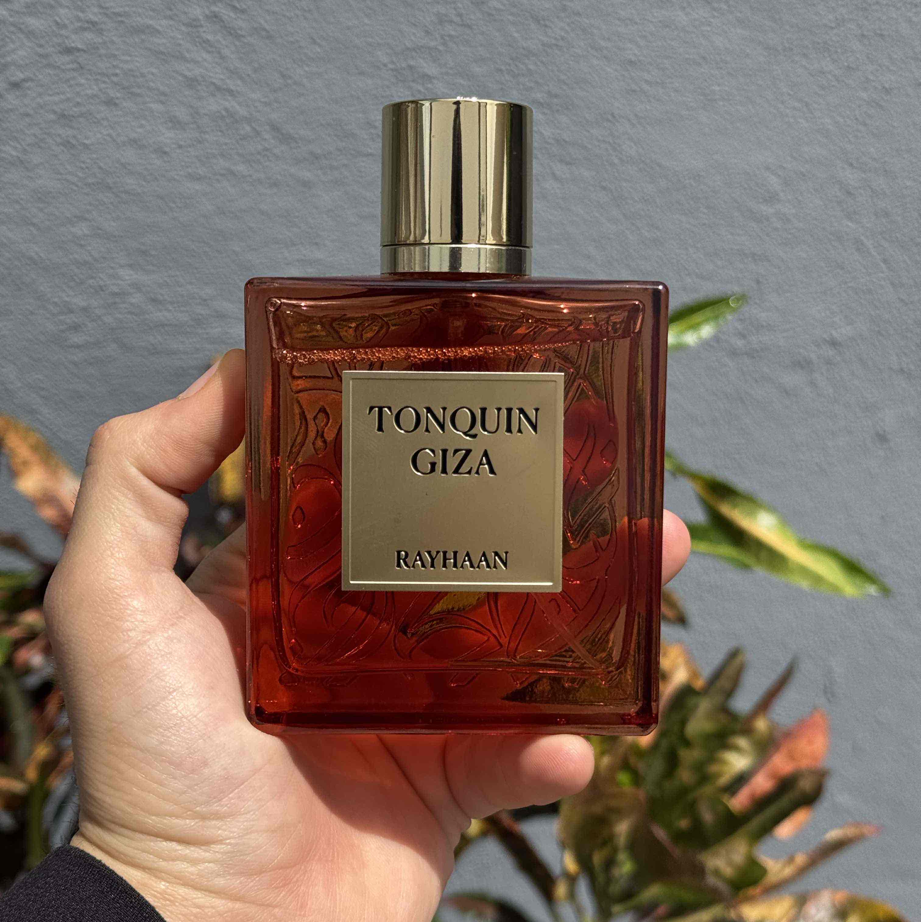 RAYHAAN TONQUIN GIZA 100 ML EDP